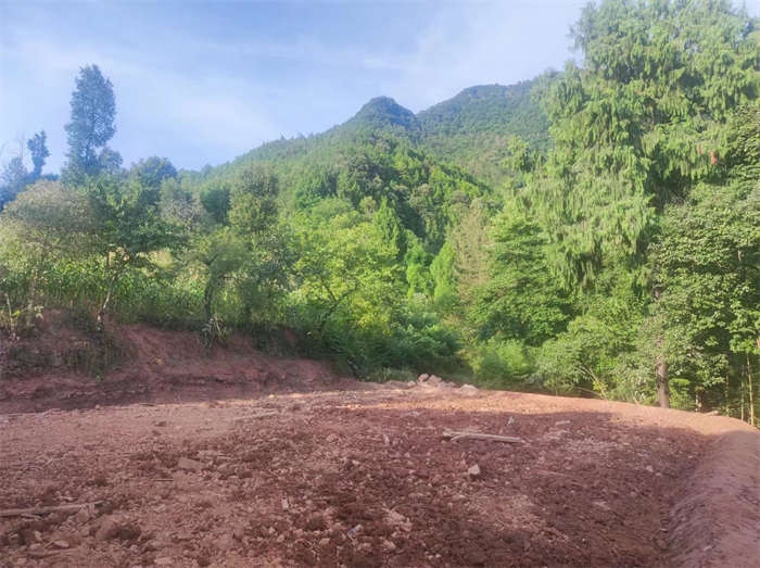 1660652698268297.jpg S102.jpg